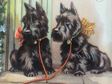 Vtg Scottish Terrier Scottie Dog Puppy UNUSED Birthday Greeting Card EB10465