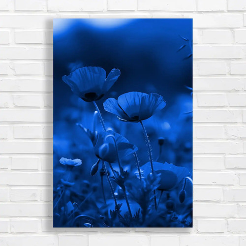 Vibrant red poppy field - red, blue