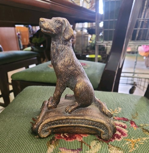 Sitting long hair retriever - 7",