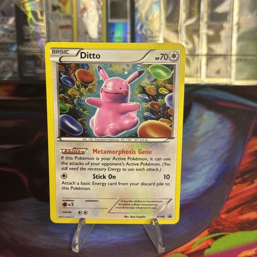 Ditto holo black - ditto,