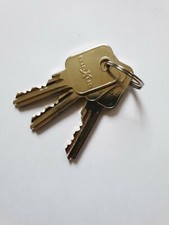 Additional Keys cut for Maxus