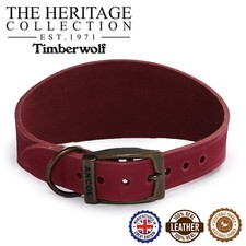 Dog Collar Whippet Greyhound
