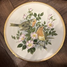 BIRDS OF THE HEDGEROW PLATE R