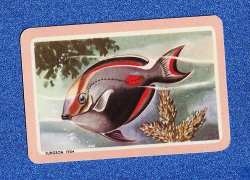 Vintage woolworths fish - fish, swap