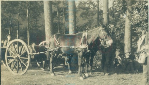 1927 photo baor - photo,