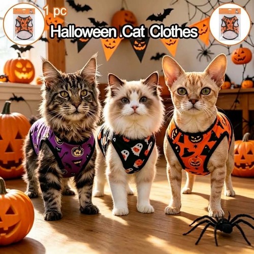Halloween pet cat - cat, soft