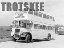 Larger Negative Harrison Mayer