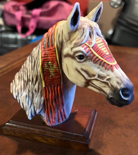 Arapaho tribal pony - tribal, native