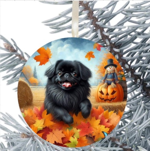 Tibetan terrier dog hanging - dog,