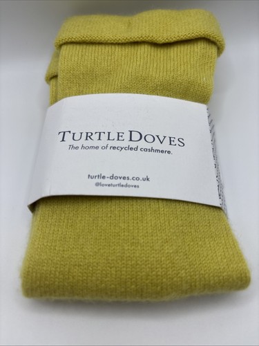 Genuine turtle doves studio - doves,