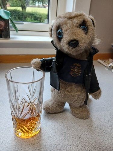 Meerkat vassily promotional - vassily,