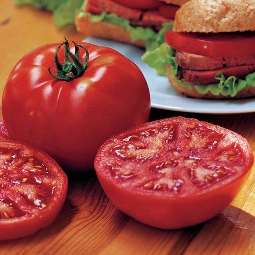 Tomato steak sandwich - steak, –