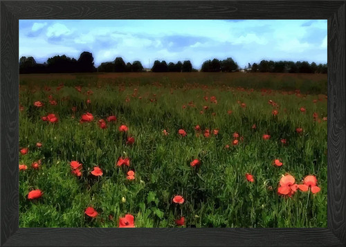 Claude monet field - claude, wall