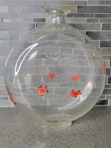 Glass vase fish - glass,