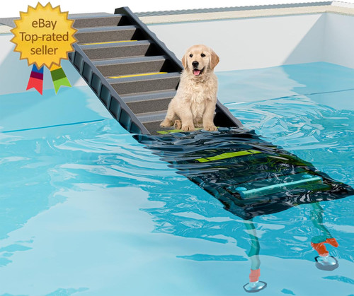 Foldable dog pool - foldable,