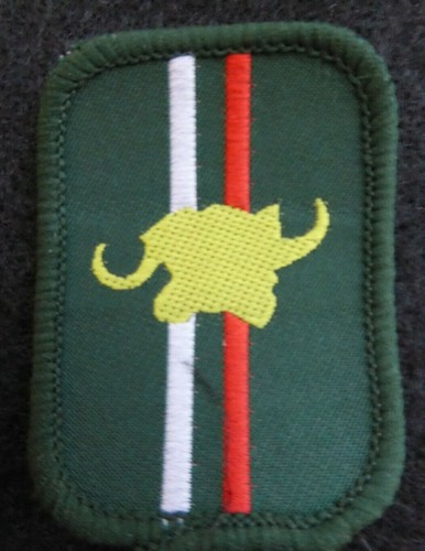 Vintage scout patrol badge - vintage,