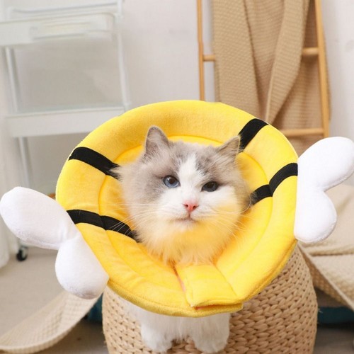 Cat recovery collar pet cone - cat,