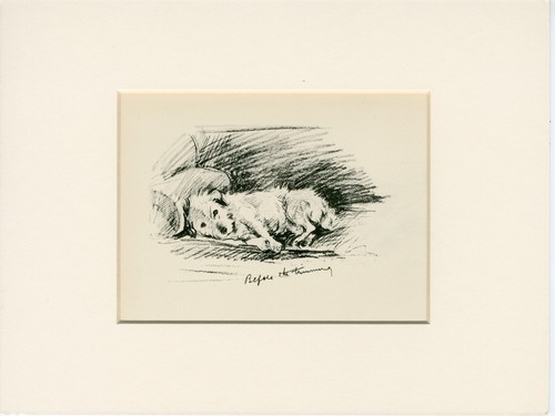 Jack russell terrier vintage - jack,