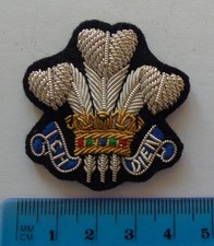Royal Scots Dragoon Guards No1
