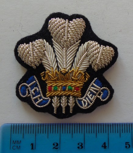 Royal scots dragoon guards - scots,