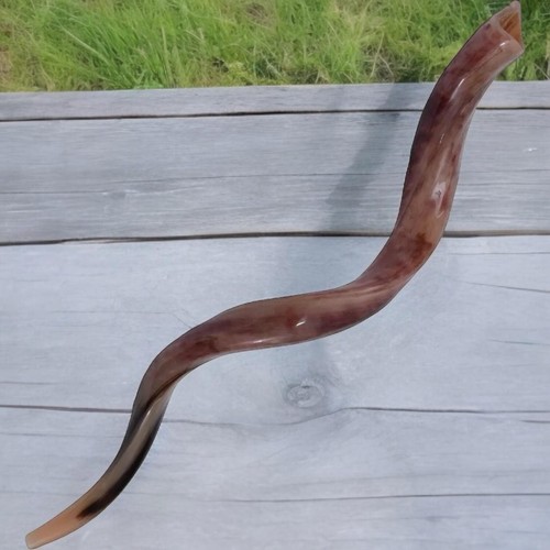 Kudu yemenite horn shofar - horn,