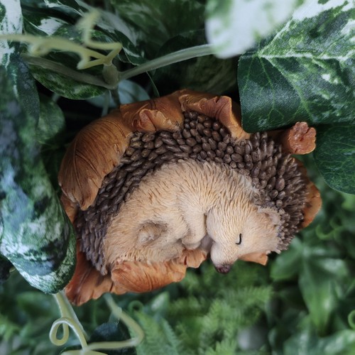 Vivid arts hedgehog - vivid,