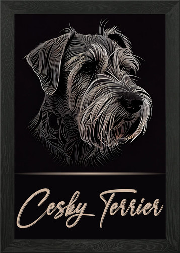 Elegant cesky terrier framed - cesky,