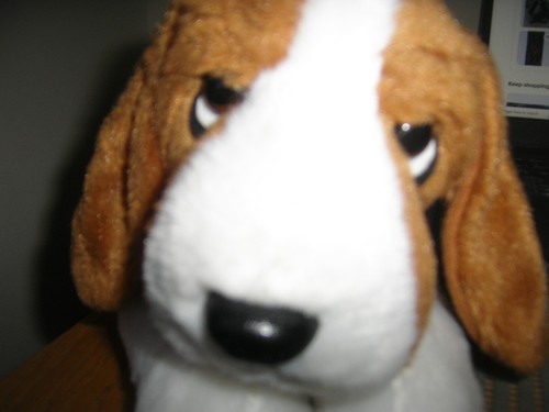 Plush soft toy - , (aurora)
