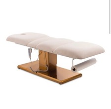 Luxury Electric Salon Bed -