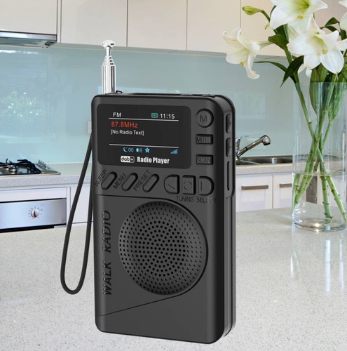 Pocket dab digital fm - pocket, dab/dab+