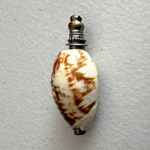 Antique victorian shell - antique,