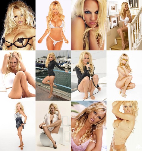 Pamela anderson hot sexy - pamela,