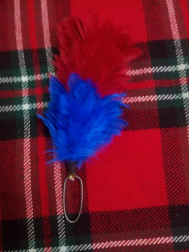 Feather plume hackle - plume,