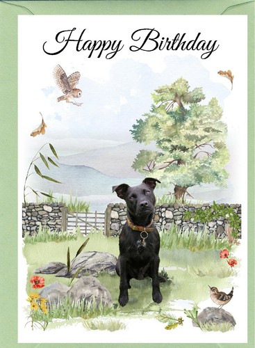 Patterdale terrier dog x - dog, (4"x