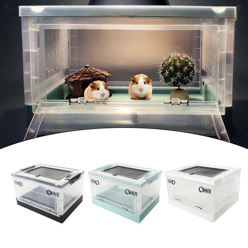 Foldable reptile feeding box - reptile,