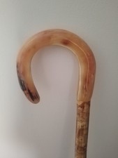 rams horn walking stick