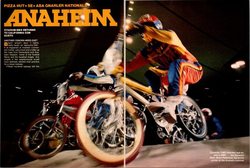 1981 anaheim brent - 1981,