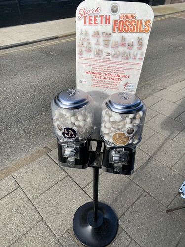 Double beaver vending - vending, machine