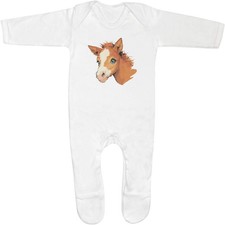 'Cute Baby Horse Portrait'