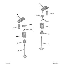 Genuine Peugeot Valve Spring -