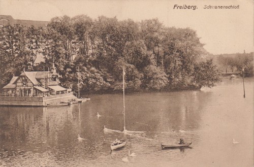09599 freiberg saxony swan - in,