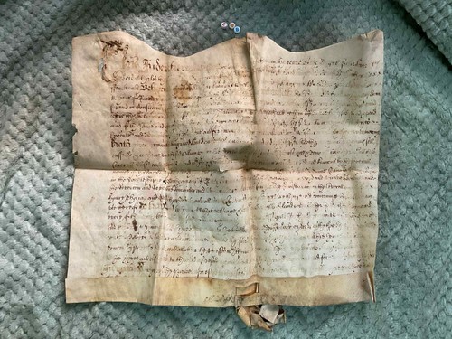 Antique 1646 vellum - vellum, english