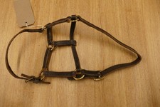 Brown leather headcollar, foal
