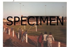 Original Large Photo Recreation Park Alloa Athletic v Dumbarton 1981/2