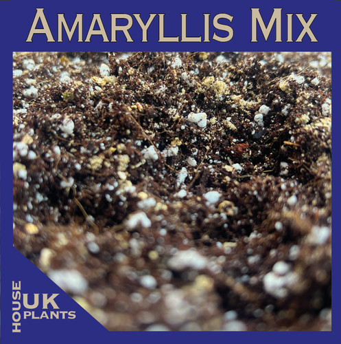 Amaryllis soil mix pest free - mix, (pest-free
