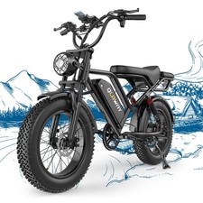 Electric Bike Adults 20 X4.0