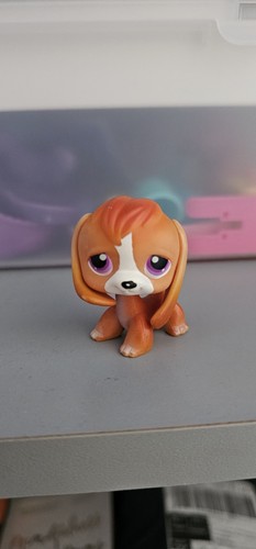 Littlest pet shop authentic - littlest,