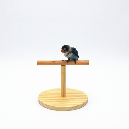 Creative wooden perch toy - wooden,