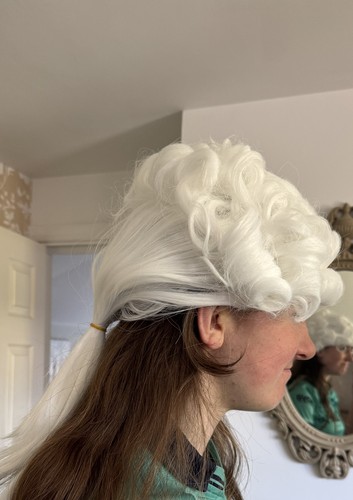 Barristers fancy dress - , wig