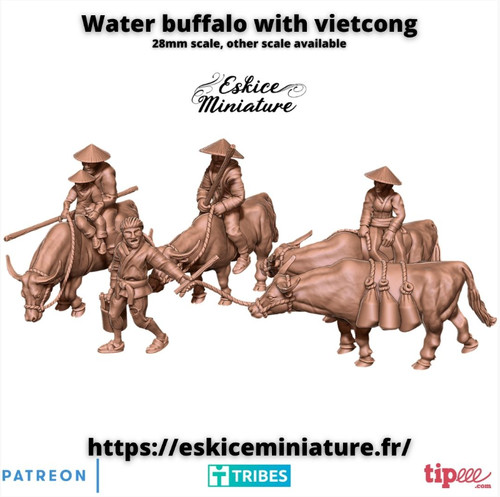 Vietnam vietcong water - vietnam, w/